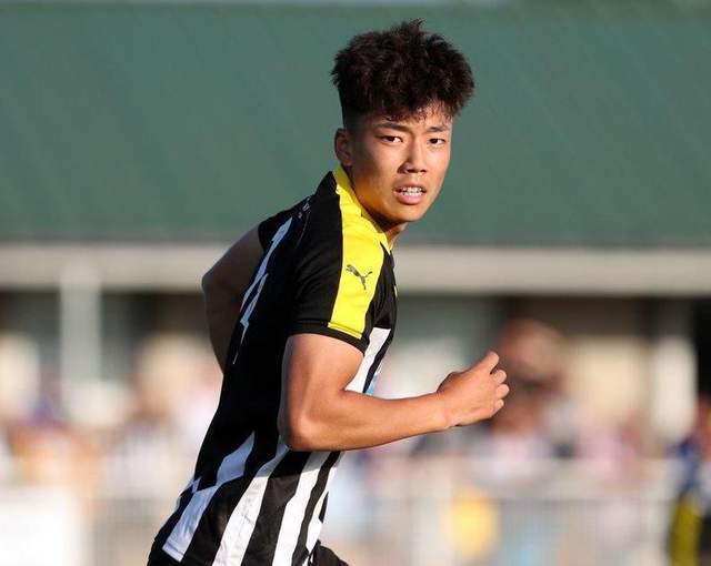 包含狼队表现超预期，前途堪称一片光明的词条